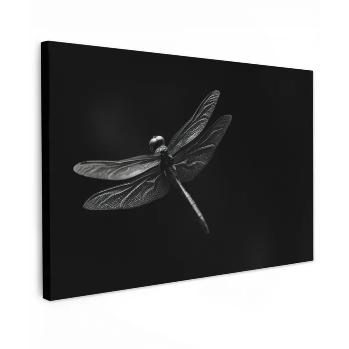 Libelle - Dieren - Zwart - Insect Tuinposter op houten frame 2 cm dik klein -3d