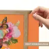 Vlinders - Vrouw - Zonnebril - Kleurrijk Light Box met batterij (Wandlamp) middel -USP_websiteprintNL