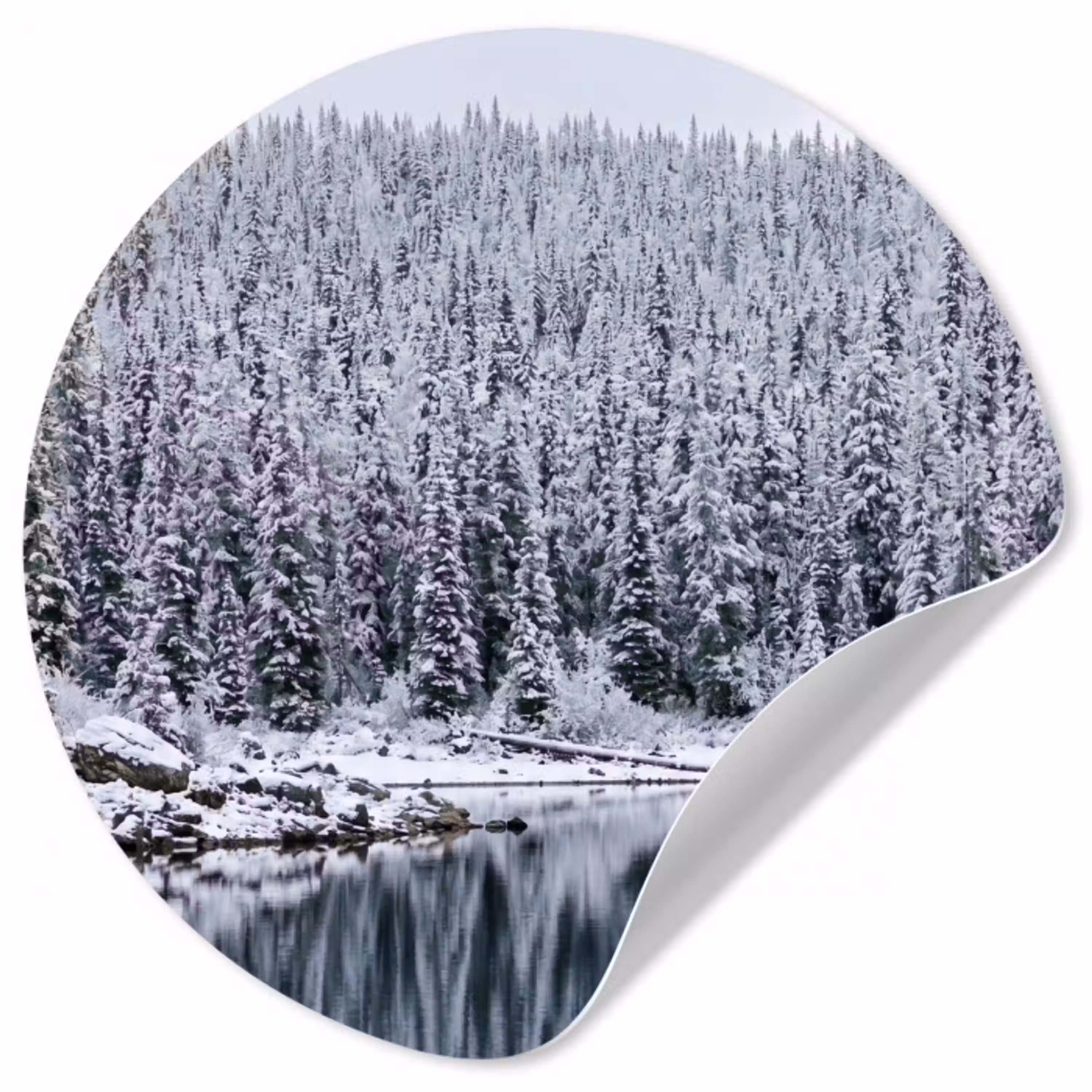Bos - Reflectie - Meer - Winter - Serene Wandcirkel behangsticker klein -3d