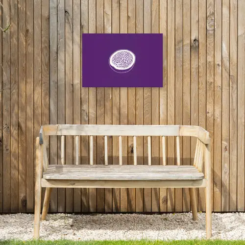 Passievrucht - Zaadjes - Paars - Minimalistisch Tuinposter op houten frame 2 cm dik klein -sfeer4