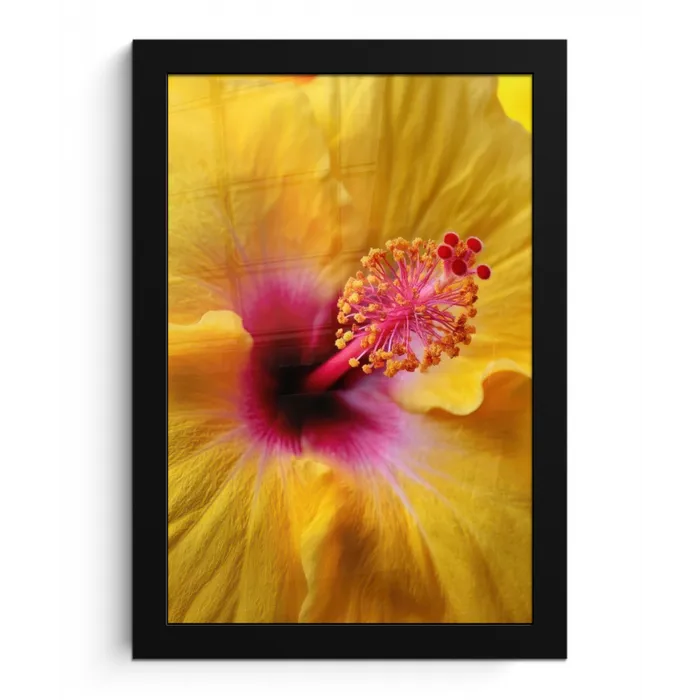 Geel - Hibiscus - Tropisch fotolijst zwart zonder passe partout klein -3d