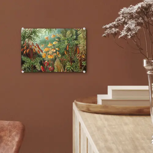 Design - Natuur - Paddenstoelen - Ernst Haeckel plexiglas 5mm klein -sfeer5