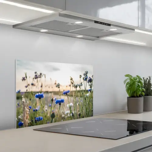 Bloemen - Zomer - Korenbloem - Blauw - Zon - Wolken keuken achterwand spatscherm klein -3d_schuin