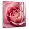 Roze - Roos - Romantisch plexiglas 5mm klein -zzzproduct_nieuw