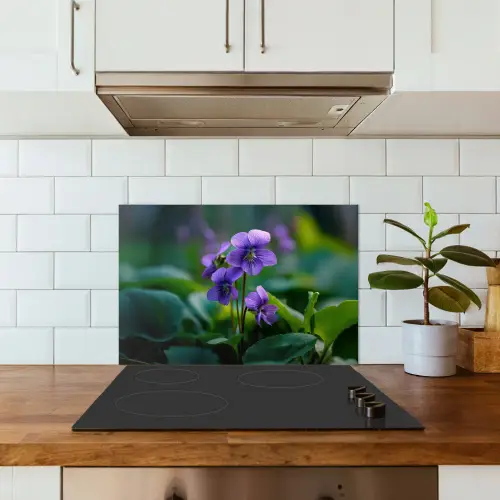 Viooltjes - Paars - Bloem - Bladeren keuken achterwand spatscherm klein -sfeer2