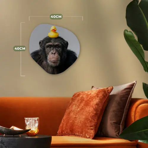 Chimpansee - Badeend - Grijs Wandcirkel Organisch Forex 3mm klein -sfeer3