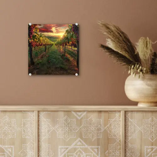 Wijngaard - Druiven - Zonsondergang plexiglas 5mm klein -sfeer5