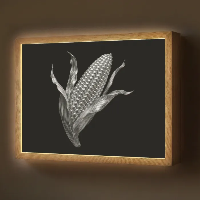 Maïskolf - Glanzend metaal - Elegant Light Box met batterij (Wandlamp) middel -z3d_website