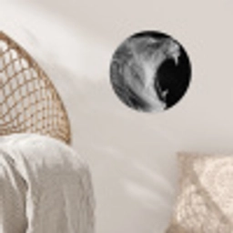 Dieren - Leeuw - Zwart - Wit - Portret Wandcirkel behangsticker klein -sfeer4