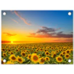 Bloemen - Zonnebloem - Zonsondergang - Nacht - Oranje tuinposter los doek klein -3d