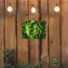 Groente - Sla - Groen tuinposter los doek klein -sfeer1