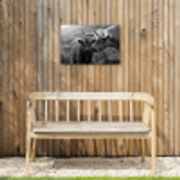 Schotse hooglander - Kalf - Zwart - Wit Tuinposter op houten frame 2 cm dik klein -sfeer4