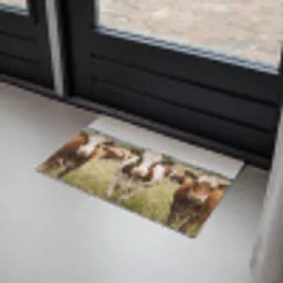 Koeien - Portret - Weide - Boerderij - Nieuwsgierig Deurmat klein -sfeer2