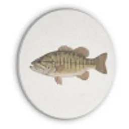 Vissen - Natuur - Vintage Akoestische PET Vilt - Rond klein -3d