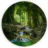 Jungle - Stenen - Water - Natuur - Planten Wandcirkel kunststof plaat 5mm dik klein -3d