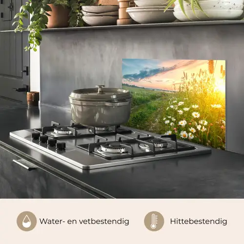 Bloemen - Madelief - Natuur - Zon - Horizon keuken achterwand spatscherm klein -usp_NL