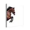 Paard - Springen - Modern aluminium wit klein -3d