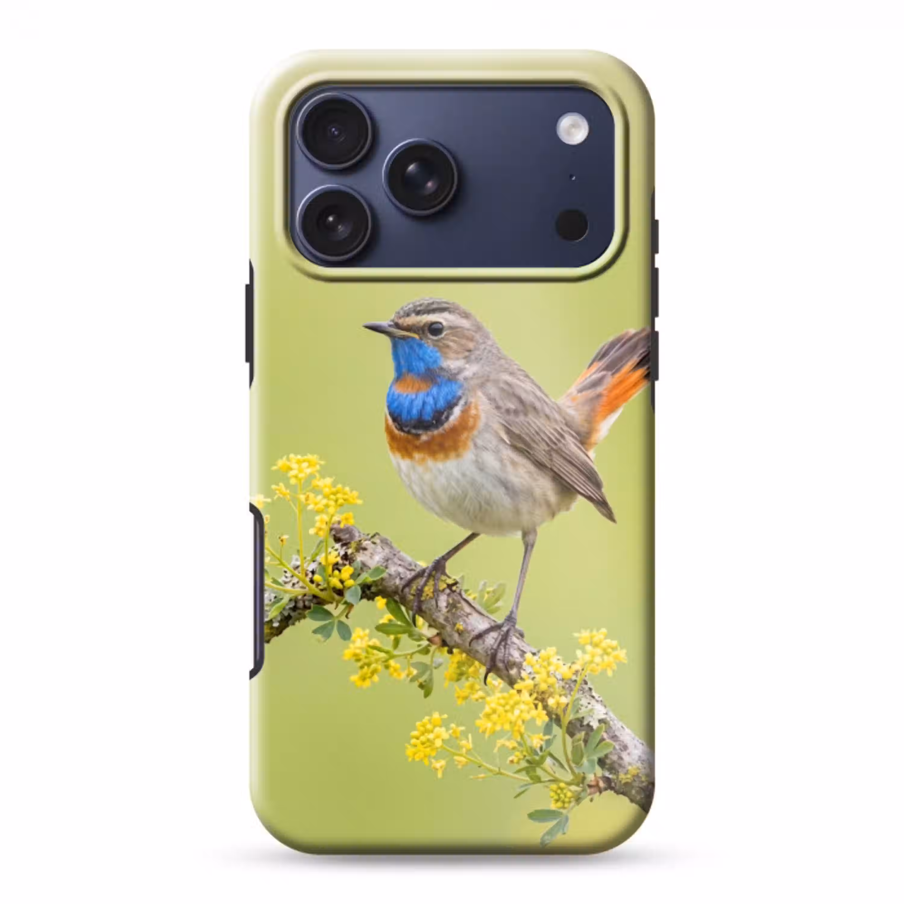Vogel - Tak - Natuur - Kleurrijk Toughcase MagSafe Apple iPhone 17 Pro Max klein -3d