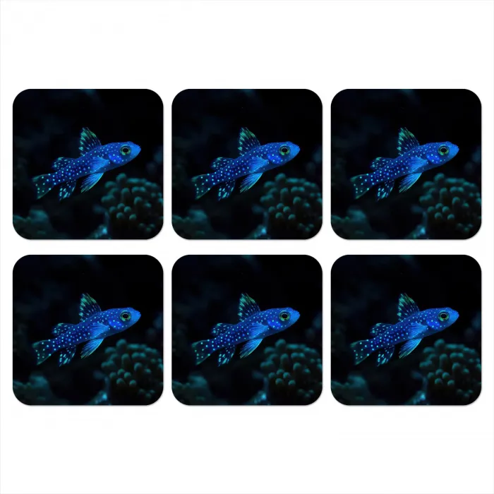 Vis - Stippen - Koraal - Blauw onderzetter kurk middel -3d