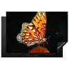 Vlinder - Bloemen - Insect - Portret - Zwart - Oranje Inductie beschermer vinyl 3mm klein -3d