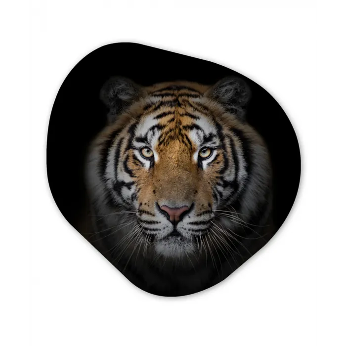 Tijger - Wilde dieren - Portret - Zwart - Dieren Wandcirkel Organisch Forex 3mm klein -3d