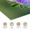 Bloem - Close up - Paars poster papier klein -closeup_NL