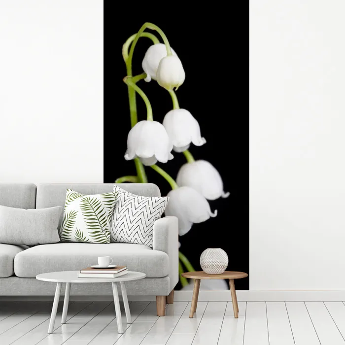 Lelietjes van dalen - Bloemen - Zwart - Flora fotobehang vinyl groot -woonkamer