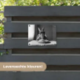 Konijn - Bunny - Zonnebril - Tafelkleed - Pasta - Schattig tuinposter los doek klein -sfeer3