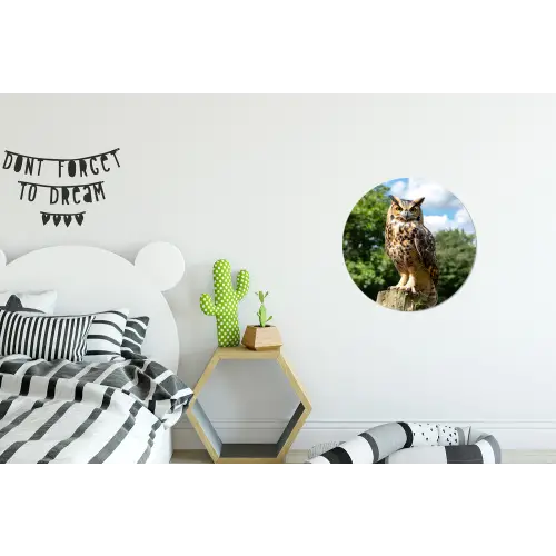 Uil - Boomstronk - Bos - Lucht Wandcirkel aluminium klein -kinderkamer