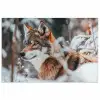 Wolf - Sneeuw - Winter - Dieren - Natuur - Sneeuw poster papier klein -3d