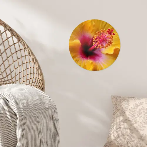 Geel - Hibiscus - Tropisch Wandcirkel behangsticker klein -sfeer4