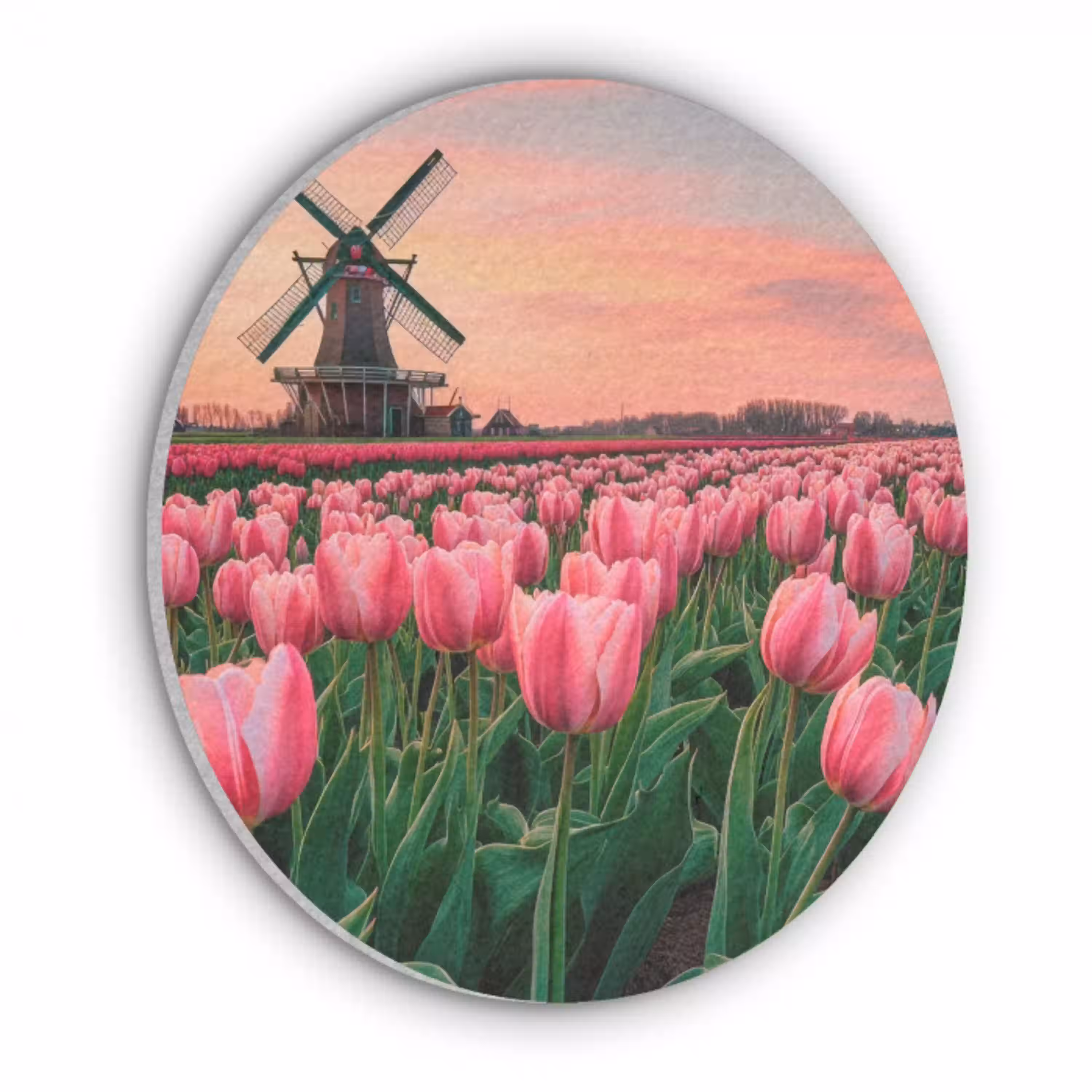 Tulpen - Molen - Nederland Akoestische PET Vilt - Rond klein -3d