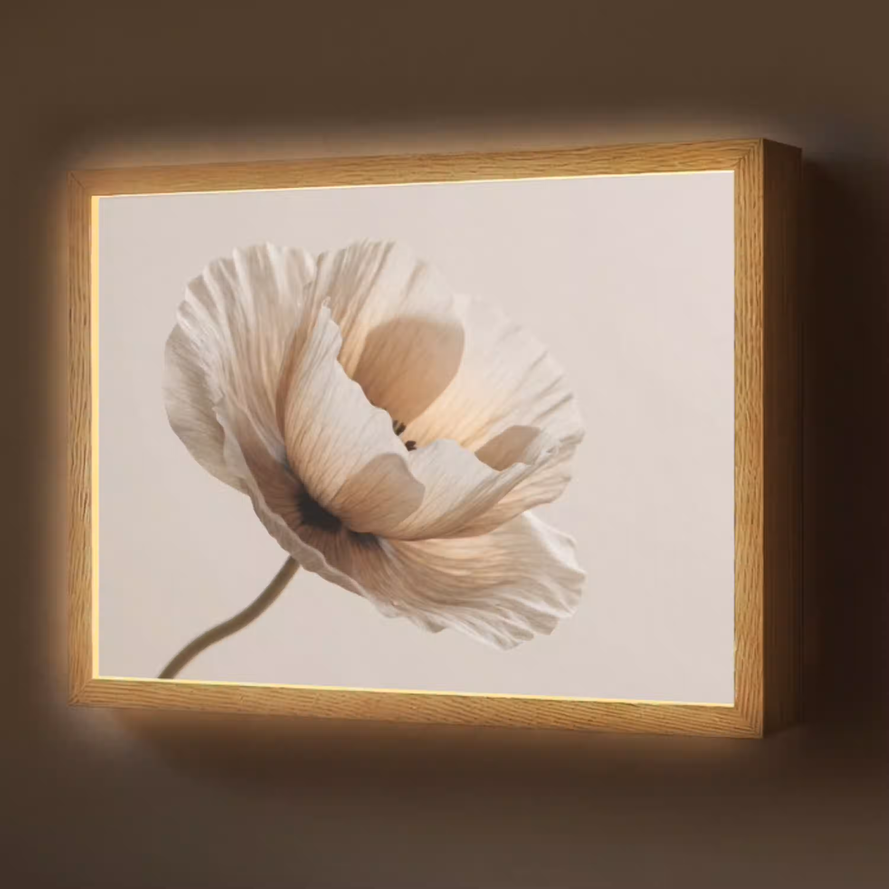 Bloem - Beige - Crème Light Box met batterij (Wandlamp) middel -z3d_website