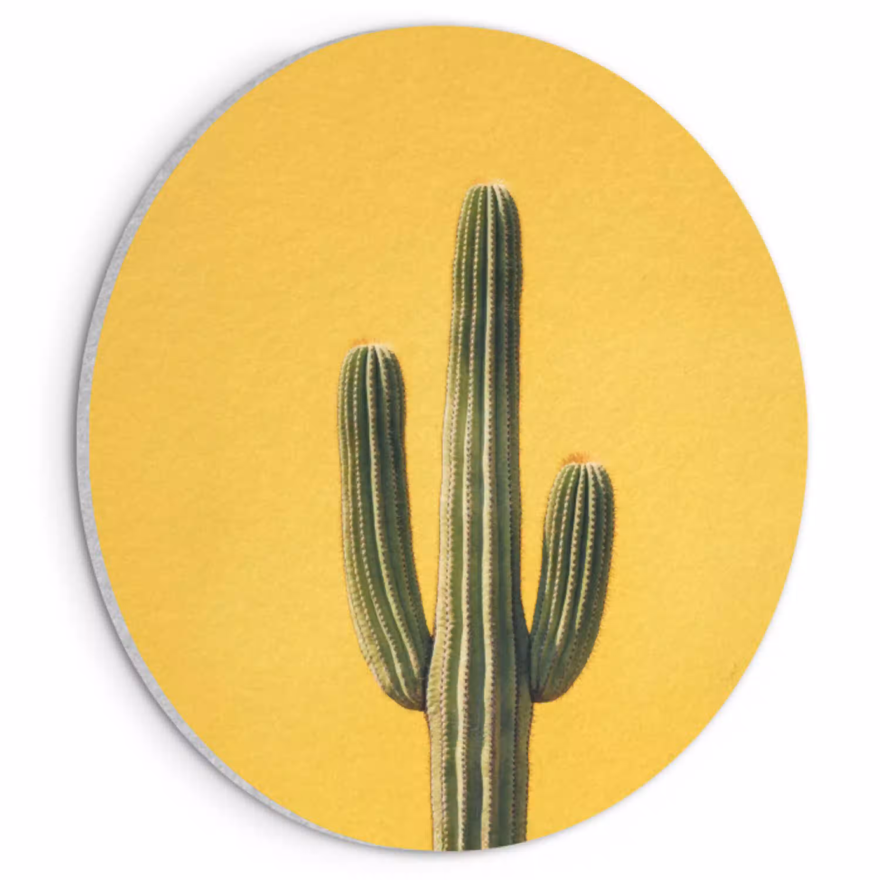 Cactus - Groen - Minimalistisch Akoestische PET Vilt - Rond klein -3d