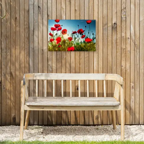 Klaprozen in ochtendlicht Tuinposter op houten frame 2 cm dik klein -sfeer4