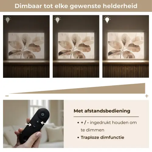 Gedroogde plant - Natuur - Bruin - Planten Light Box met batterij (Wandlamp) middel -USP_dimbaarNL