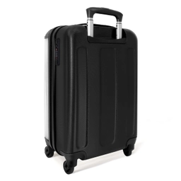 paard-2-achterkant-handbagage.jpg