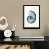 Blauw - Schelp - Spiraal fotolijst zwart zonder passe partout klein -sfeer1