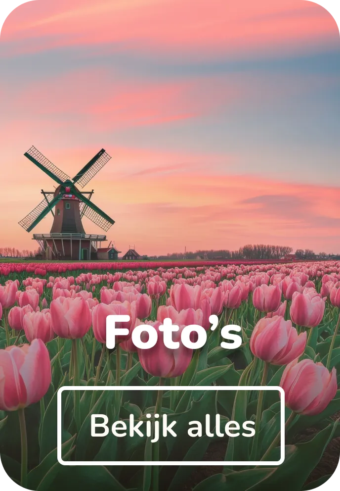 Vilt schilderijen foto's