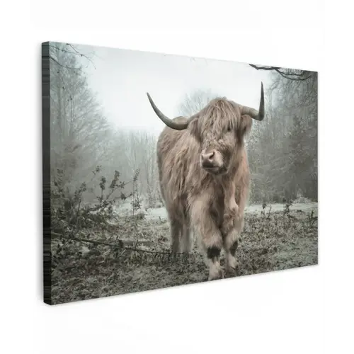 Schotse hooglander - Natuur - Herfst - Dieren - Wild - Bos canvas 2cm klein -z3d
