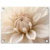 Bloem - Dahlia - Wit tuinposter los doek klein -3d