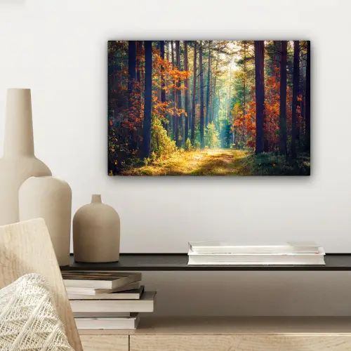 Bos - Zon - Natuur - Herfst canvas 2cm klein -sfeer6