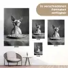 Sphynx - Kat - Dieren - Humor - Spaghetti - Zwart Wit tuinposter los doek klein -Xsfeer9_DE