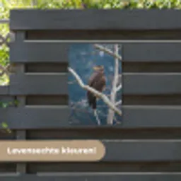 Vogel - Tak - Roofvogel tuinposter los doek klein -sfeer3