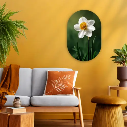Narcis - Bloem - Wit - Grassprieten Wandcirkel Ovaal Forex klein -sfeer4
