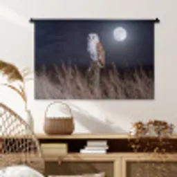 Kerkuil - Maan - Nacht Wandkleed katoen middel -sfeer5