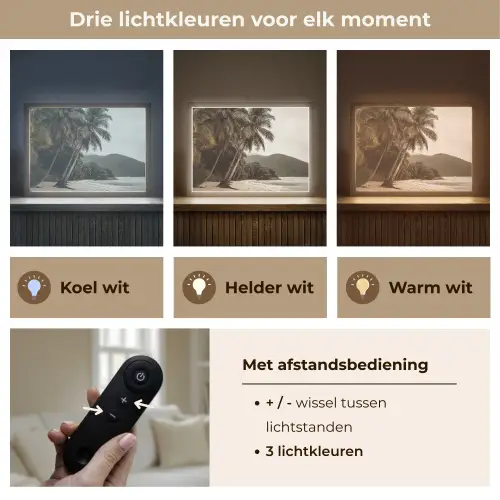 Eiland - Palmboom - Zee Light Box met batterij (Wandlamp) middel -USP_lichtkleurNL