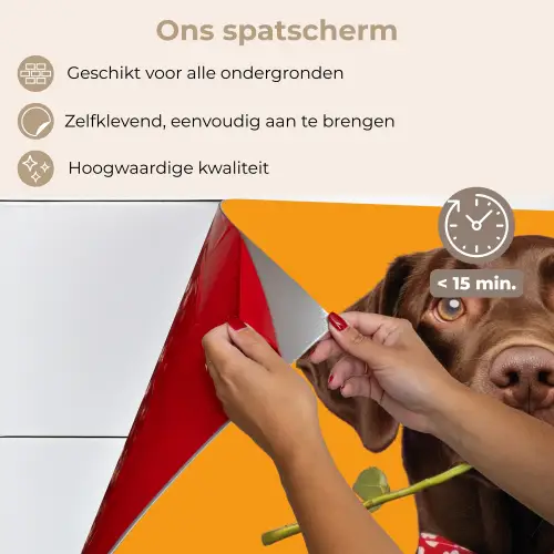 Hond - Oranje - Roos - Valentijn keuken achterwand spatscherm klein -spatscherm_NL
