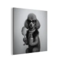Poedel - Spiegel - Zwart - Wit aluminium wit klein -3d