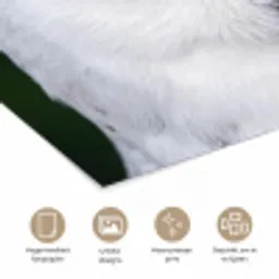 Sneeuwuil - Portret - Geel poster papier klein -closeup_NL